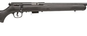 SAV 93R17 F 17HMR