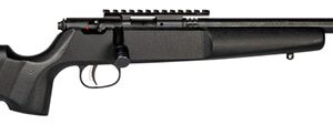 SAV RASCAL TGT 22LR 16"" 1RD