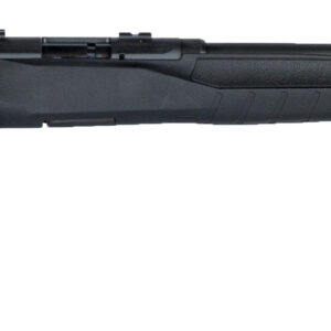 SAV B17F 17HMR BA RFL 10RD
