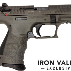 P22Q 22LR Tun Grey Slide /Frame 3.42"BBL 10rd