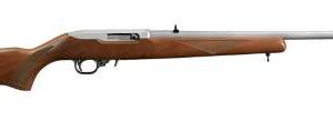 RUGER 10/22 22LR SS/WD 22"