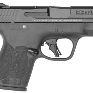SW M&P9 SHIELD PLUS + TS 10RD