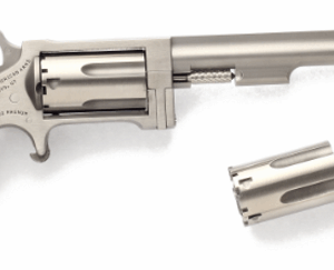 NORTH AMERICAN ARMS SIDEWINDER 22M/22LR 4" SS
