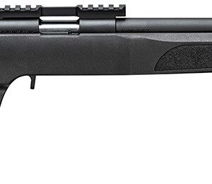 SPR 2020 TRGT BLK 22LR