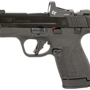 S&W*M&P SHLD+ 13951 9M MIC CMP CT RDDOT 10/13R BLK