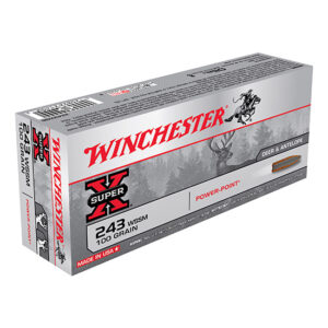WIN POWER-POINT 243WSSM 100GR 20/10