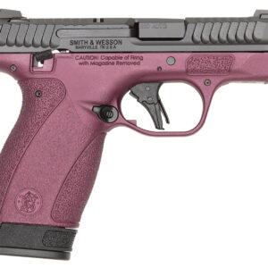 S&W BODYGRD 2.0 380ACP   14661 TS H-319 BCF