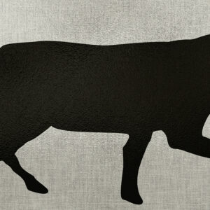 EZ-Aim 15800 Coyote Adhesive Thermal ID Paper 24" x 12" Black/Gray